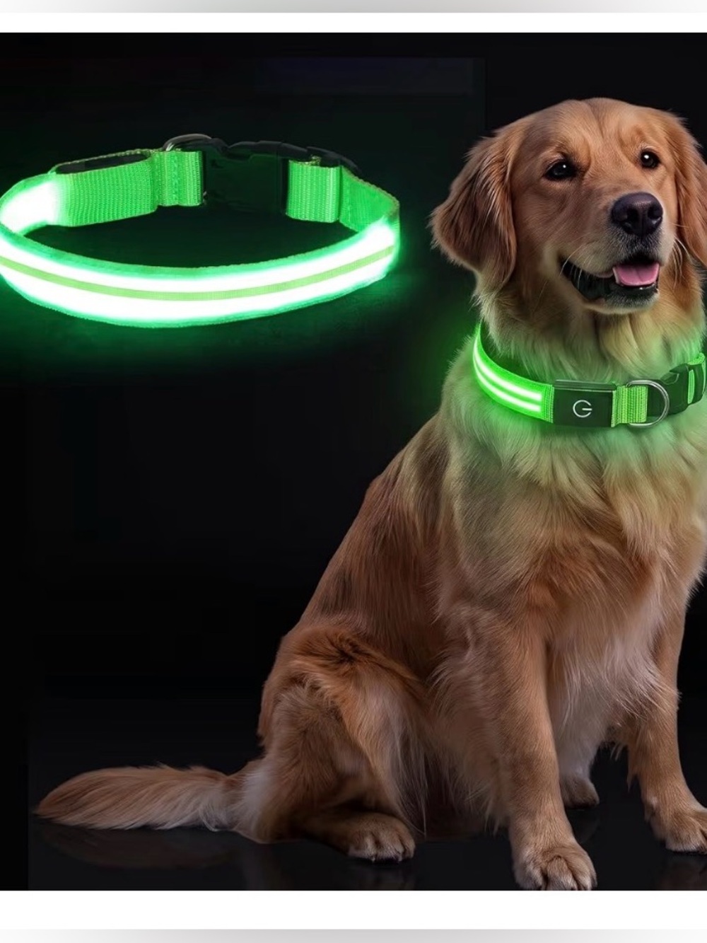 LED Dog Collar Light Up USB Rechargeable Night Safety Glow High Vis Green Size S